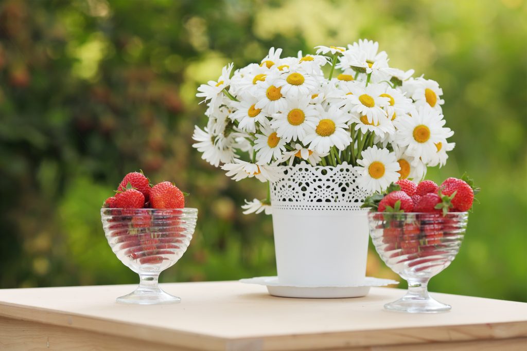 Two bowls of strawberries and a vase with margaritas. 