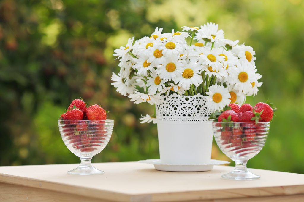 Två skålar med jordgubbar och en vas med prästkragar på ett bord.